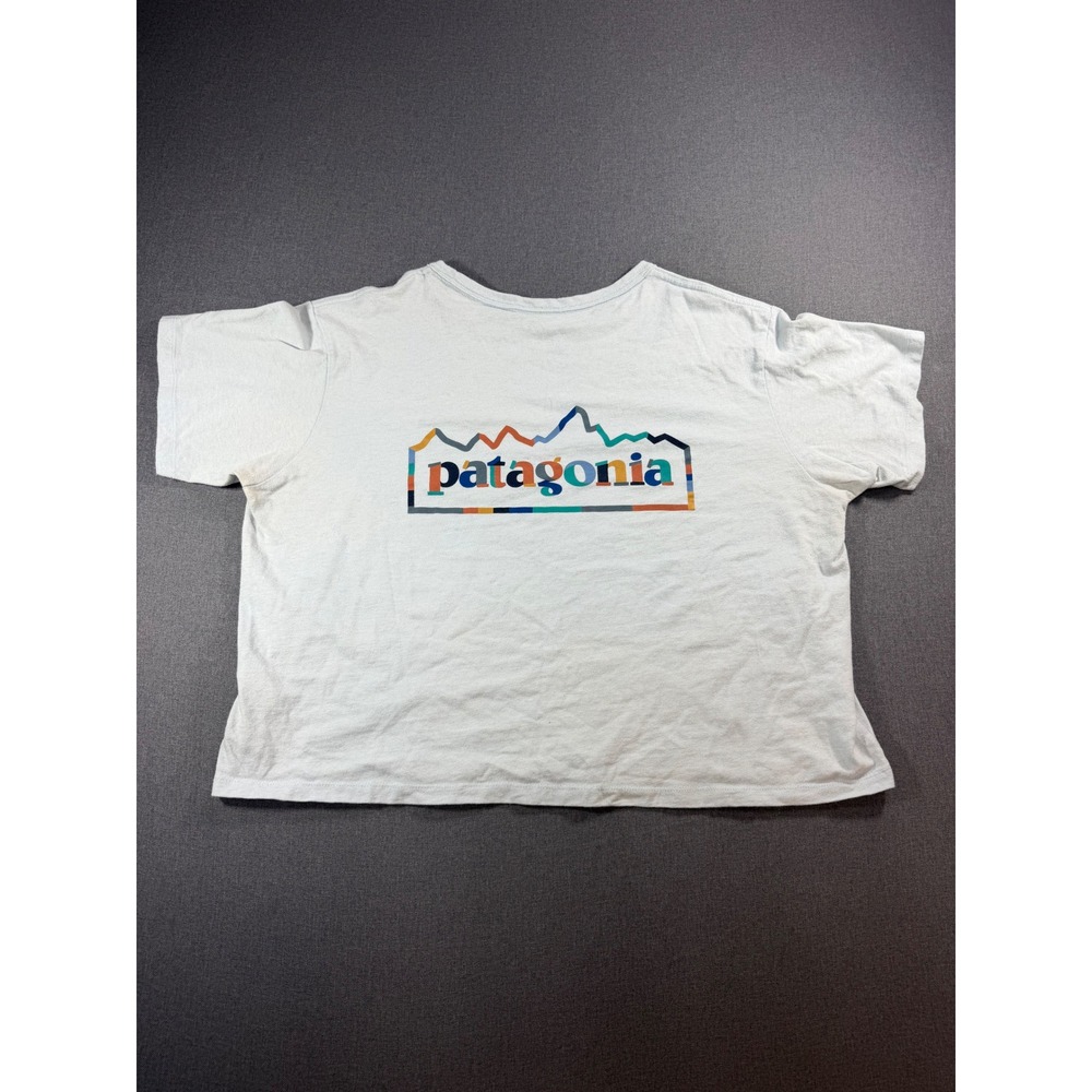 Patagonia Responsibili-Tee Light Blue Graphic Crop T-Shirt XL Womens